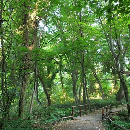 Apartamento Cozy Nest With Glass Veranda Varna